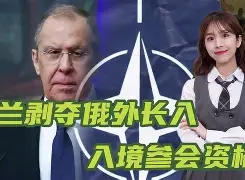 TES力克NS，Bin一己之力扛起全队的简单介绍