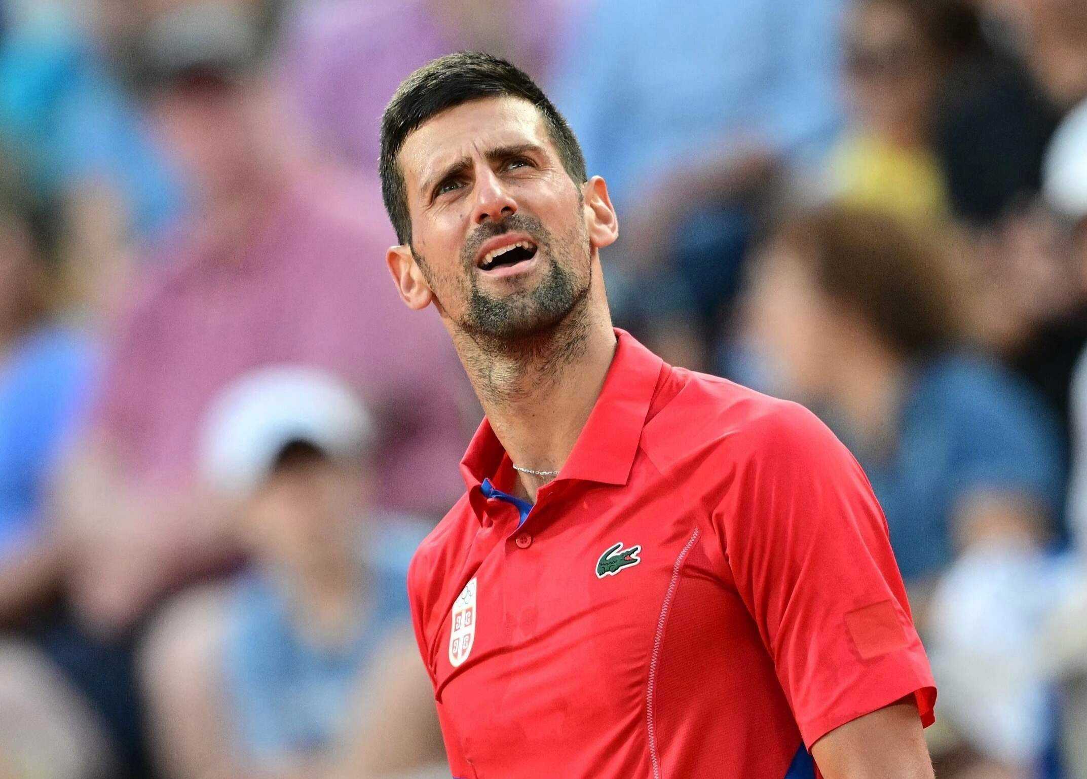 包含世界网球队轻取美国网球队，德约科维奇高光表现的词条