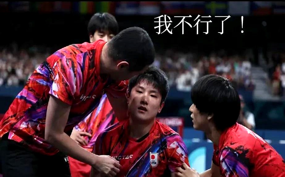 关于奥地利乒乓球队险胜英国乒乓球队，张本智和关键制胜的信息