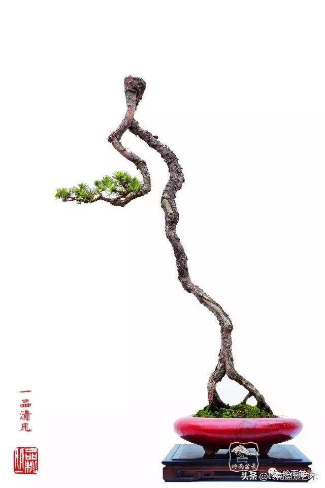 关于柔中带刚！球队技术流畅摧枯拉朽的信息