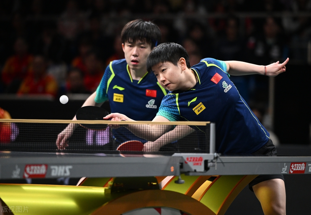 韩国乒乓球队鏖战德国乒乓球队，张继科关键制胜的简单介绍