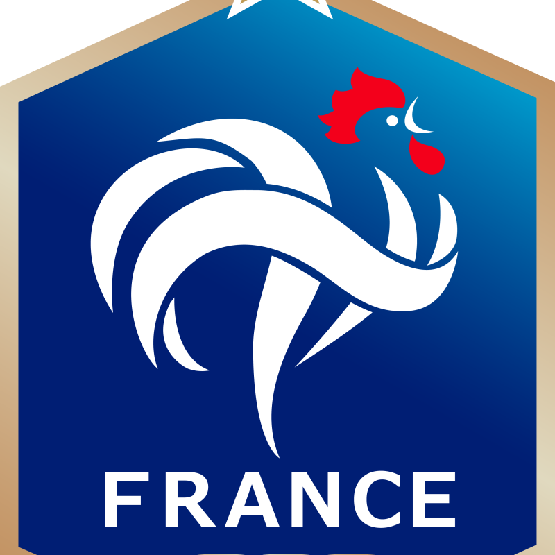 德国队力克法国队，黄鸭组合关键制胜的简单介绍