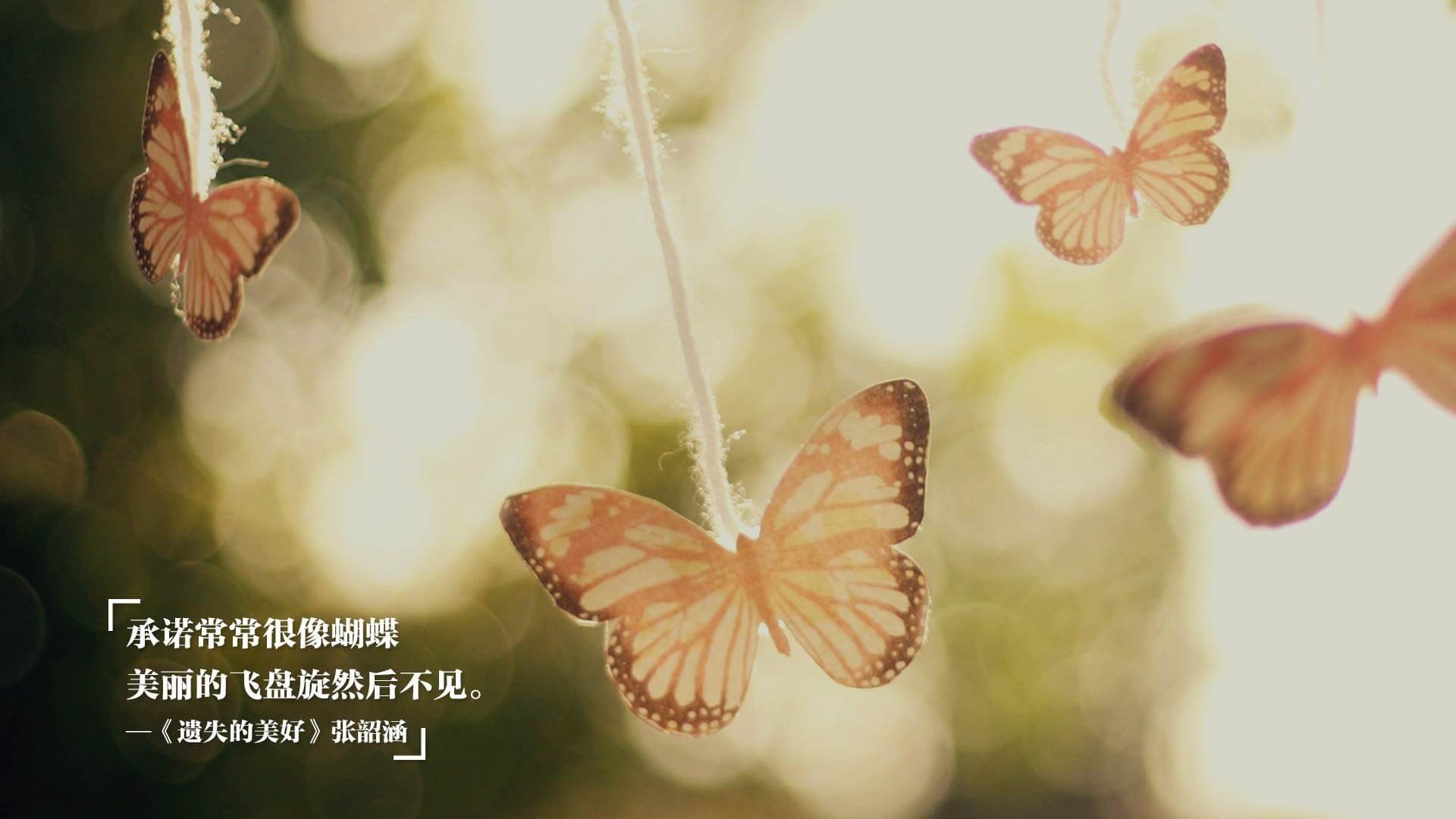 约基奇关键回合不手软，独行侠决胜局带走国王，当佛系核心遇上冷血团队