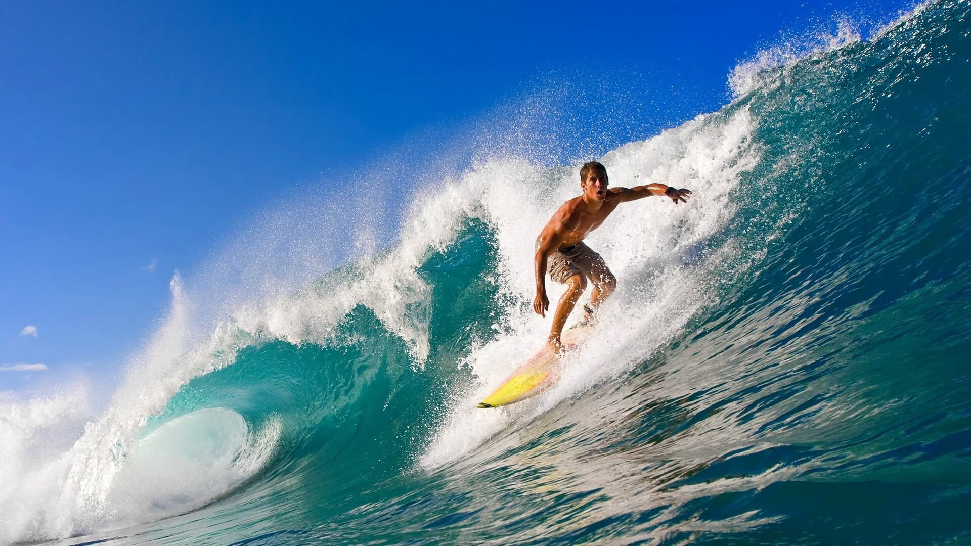 霍勒迪完成自我救赎,猛龙单节拉开魔术