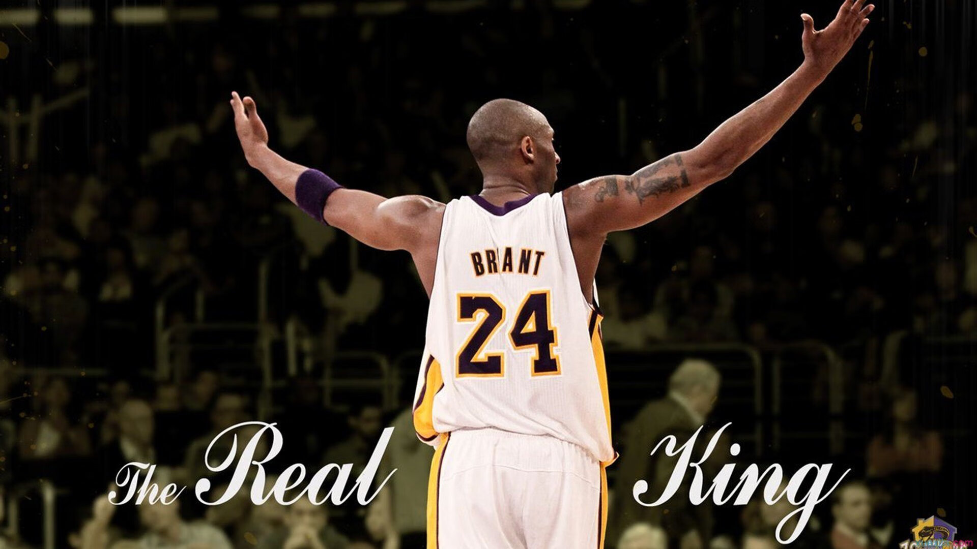 东决关键战之夜，武切维奇存在感拉满